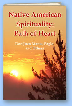 Book The Teachings of Don Juan Matus